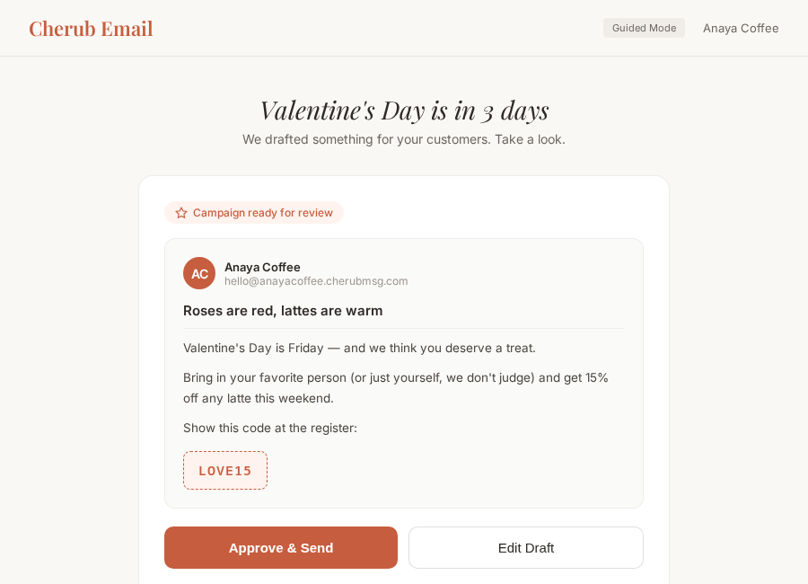 Campaign suggestion draft ready for review
